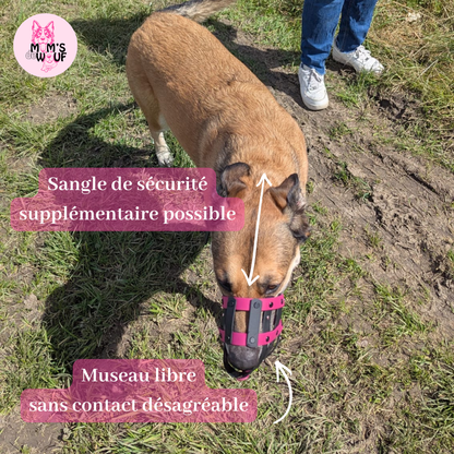 Muselière Biothane Sur Mesure – Confort, Liberté & Sécurité Positive