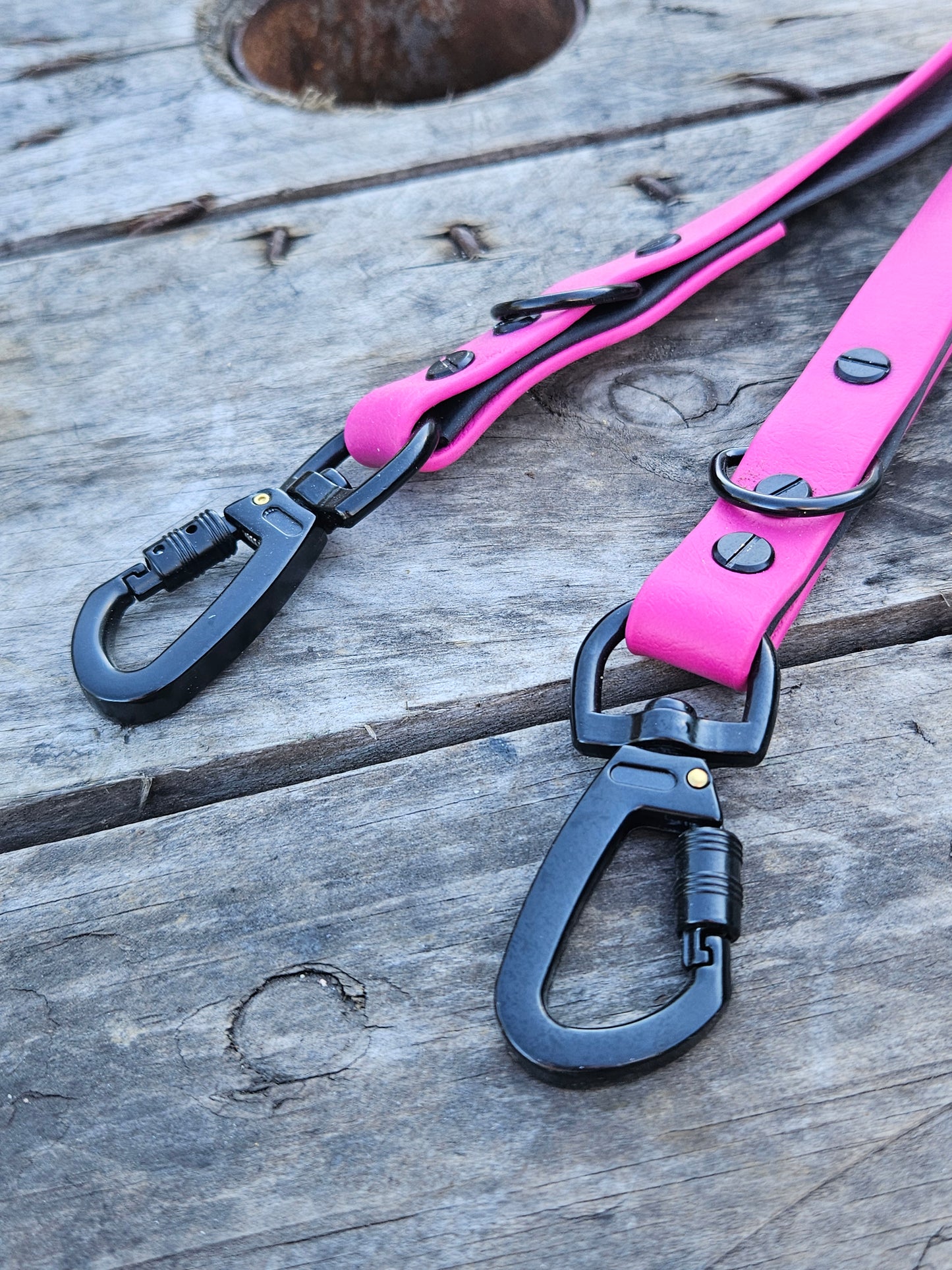 Longe double 6 m – Une seule longe pour promener deux chiens en toute liberté